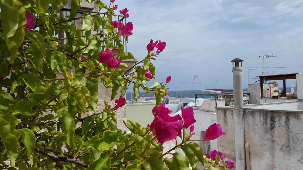 La Casetta Nel Vico Polignano a Mare Ngoại thất bức ảnh